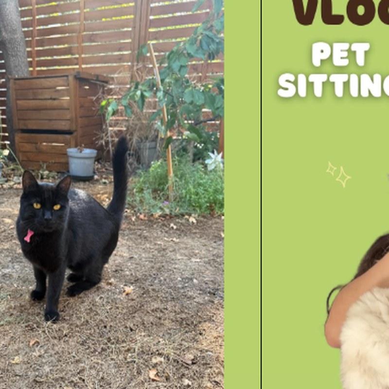 Publication Instagram marion.petsitter